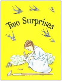 Little Jewel Book: Two Surprises